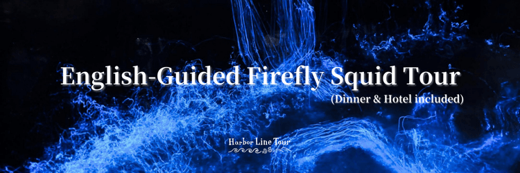 English-Guided Firefly Squid Tour